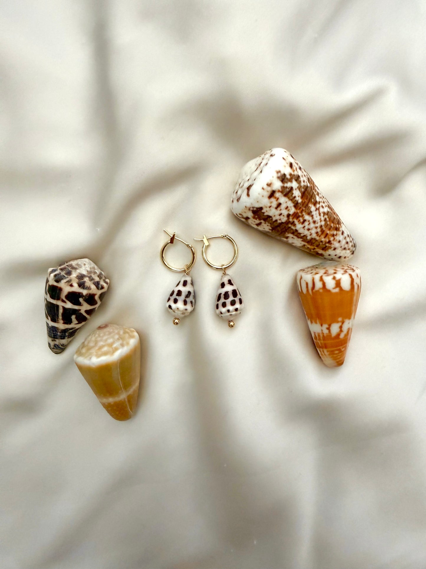 Shell earrings