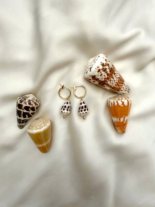 Shell earrings